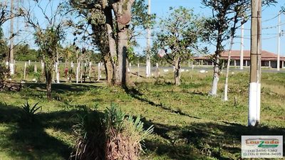 Terreno, 48 hectares - Foto 3