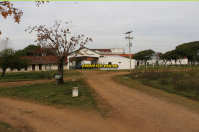 Fazenda, 16 hectares - Foto 3