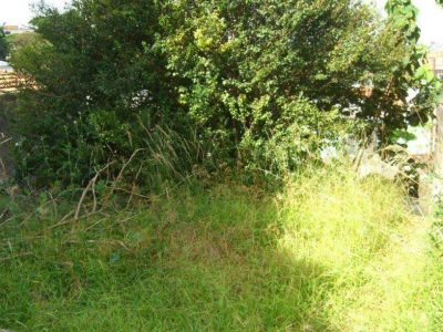 Terreno, 295 m² - Foto 5