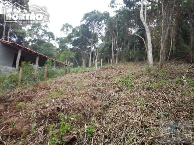 Casa, 4200 m² - Foto 5