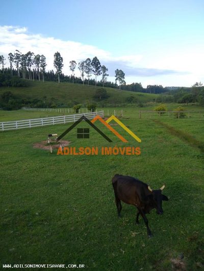 Chácara, 2 quartos, 2 hectares - Foto 3