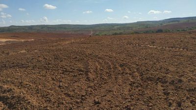 Chácara, 1 quarto, 167 hectares - Foto 2