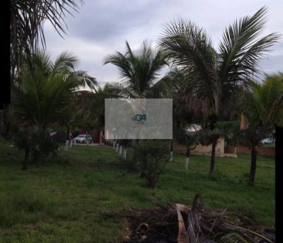 Terreno, 10000 m² - Foto 4