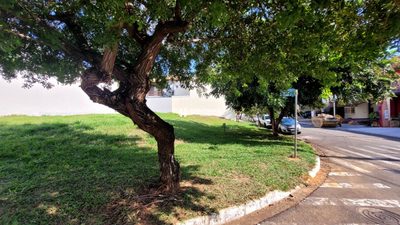 Terreno, 203 m² - Foto 3