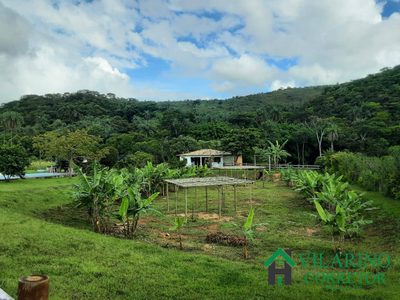 Terreno, 10000 m² - Foto 2