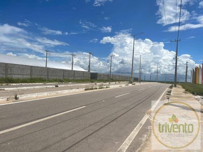 Terreno - Foto 4