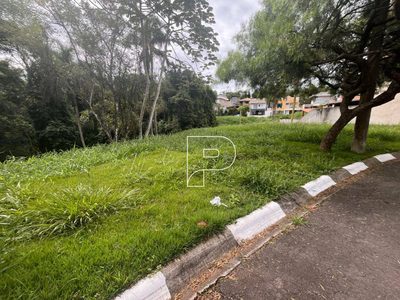 Terreno, 451 m² - Foto 4