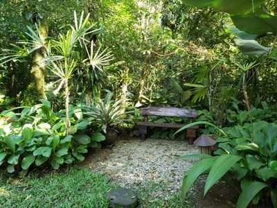 Casa, 4 quartos, 350 m² - Foto 5
