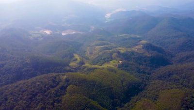 Sítio, 66 hectares - Foto 5