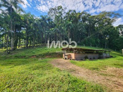 Chácara, 3 quartos, 7 hectares - Foto 4