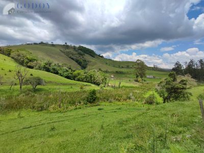 Terreno, 5 hectares - Foto 2