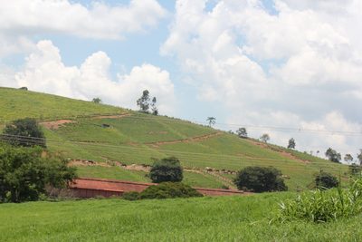 Fazenda, 44 hectares - Foto 4