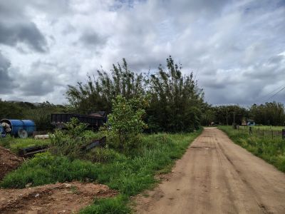 Sítio, 28 hectares - Foto 5