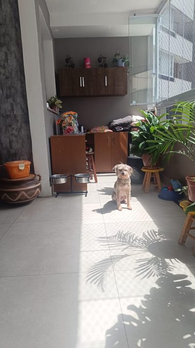 Apartamento, 2 quartos, 117 m² - Foto 3