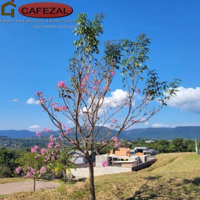 Terreno, 1273 m² - Foto 5