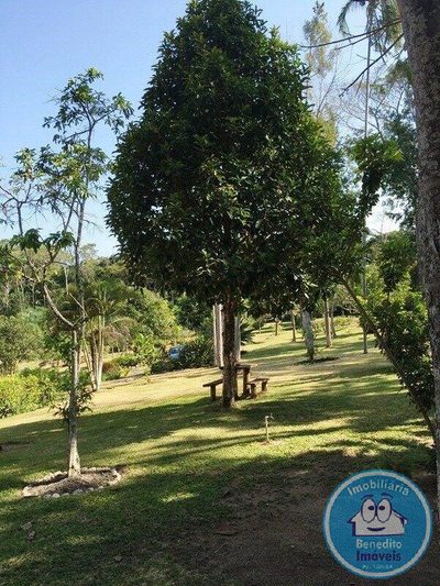 Sítio, 8 quartos, 2 hectares - Foto 4