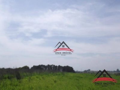 Terreno, 4 hectares - Foto 4