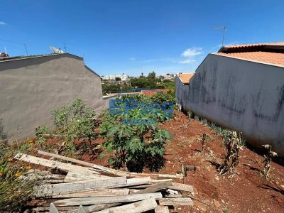 Terreno, 250 m² - Foto 3