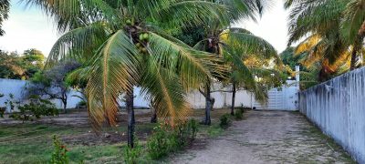 Terreno, 1050 m² - Foto 4