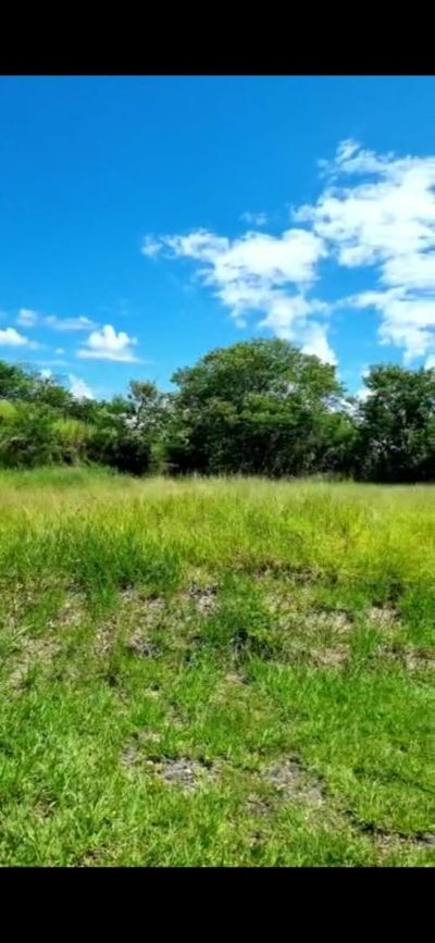 Terreno, 1455 m² - Foto 5