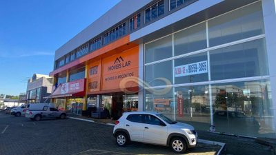 Loja-Salão, 530 m² - Foto 3