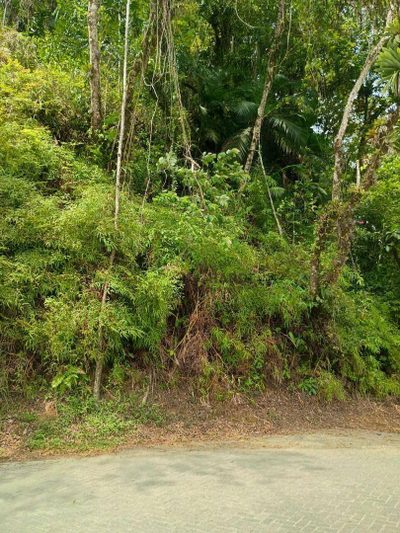 Terreno, 4 hectares - Foto 2