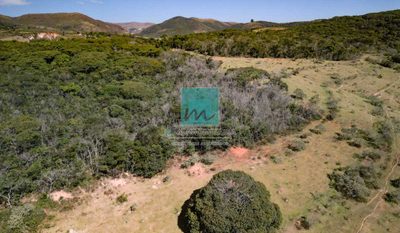 Terreno, 96 hectares - Foto 3