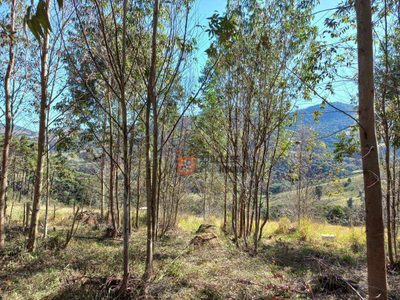 Terreno, 6050 m² - Foto 5