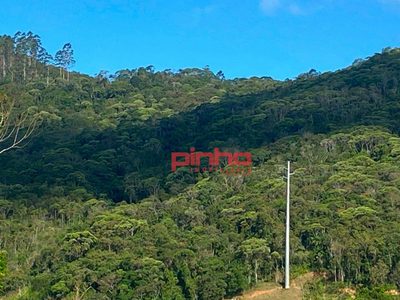 Terreno, 8000 m² - Foto 5