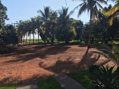 Terreno, 25 hectares - Foto 4