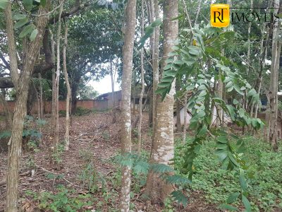 Terreno, 3500 m² - Foto 4