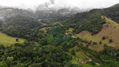 Fazenda, 87 hectares - Foto 5