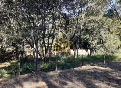 Terreno, 473 m² - Foto 5