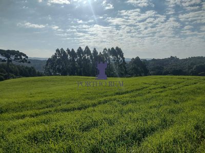 Terreno - Foto 4