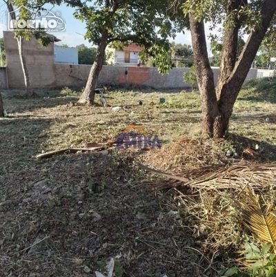 Terreno, 251 m² - Foto 2