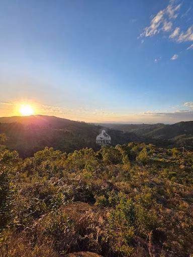 Terreno, 2 hectares - Foto 1