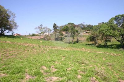 Terreno, 2 hectares - Foto 2