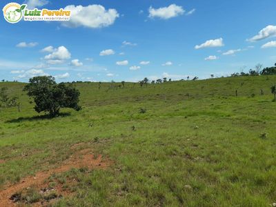 Terreno, 4 hectares - Foto 5