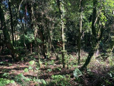 Terreno, 834 m² - Foto 2