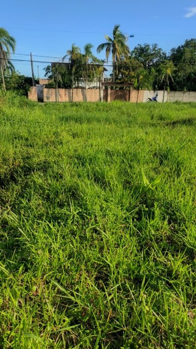 Terreno, 1000 m² - Foto 1