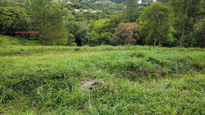 Terreno, 2500 m² - Foto 5