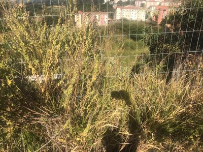 Terreno, 501 m² - Foto 3