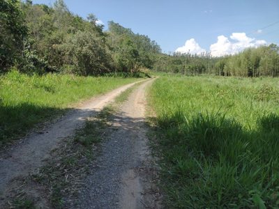 Fazenda, 150 m² - Foto 3