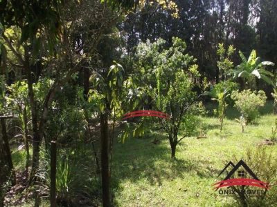 Chácara, 3 quartos, 5000 m² - Foto 4