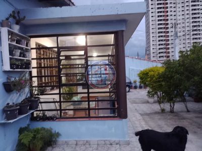 Casa, 2 quartos, 340 m² - Foto 3