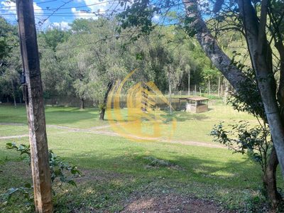 Terreno, 3 hectares - Foto 4