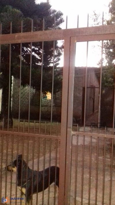 Terreno, 217 m² - Foto 4