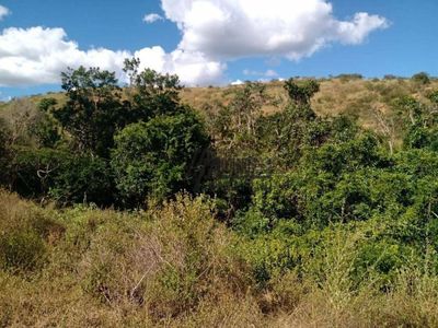 Sítio, 24 hectares - Foto 3