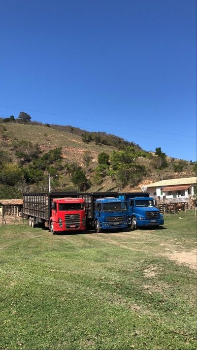 Fazenda, 484 hectares - Foto 1
