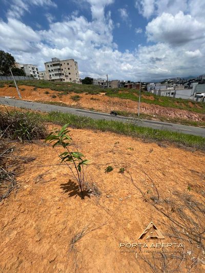 Terreno, 240 m² - Foto 4